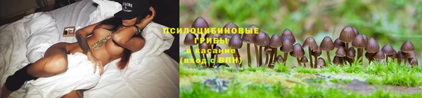 ПСИЛОЦИБИНОВЫЕ ГРИБЫ Нефтегорск