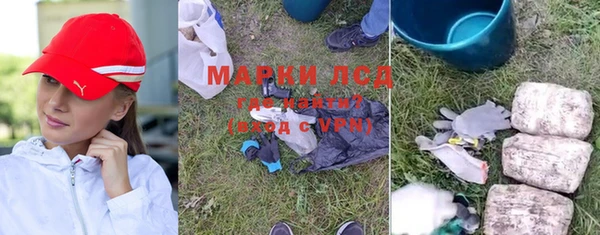 гидра Наволоки
