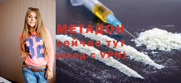 прущие грибы Новодвинск