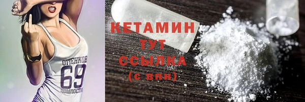 прущие грибы Новодвинск